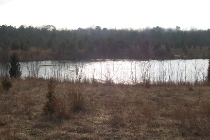 Lake Audrey