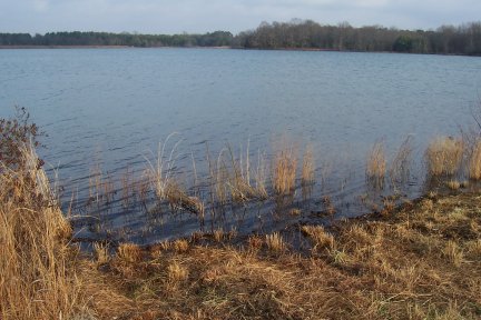 Lake Audrey