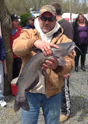 Catfish